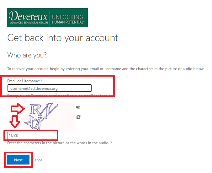 Password Reset SelfService.PNG